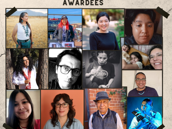 Picture with photos of all PandemiDiarios: Stories of Resiliency Awardees
